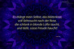 mandala-05-text6a