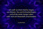 mandala-05-text6b