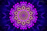 mandala-05