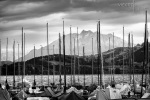 pilatus