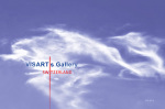 visartis-wolken-voegel