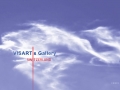 visartis-wolken-voegel