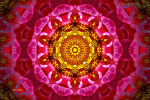 Mandala-01