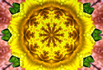 Mandala-02
