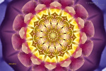 Mandala-07