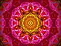 Mandala-01