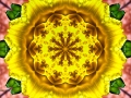 Mandala-02