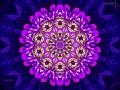 Mandala-05