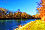 am-fluss